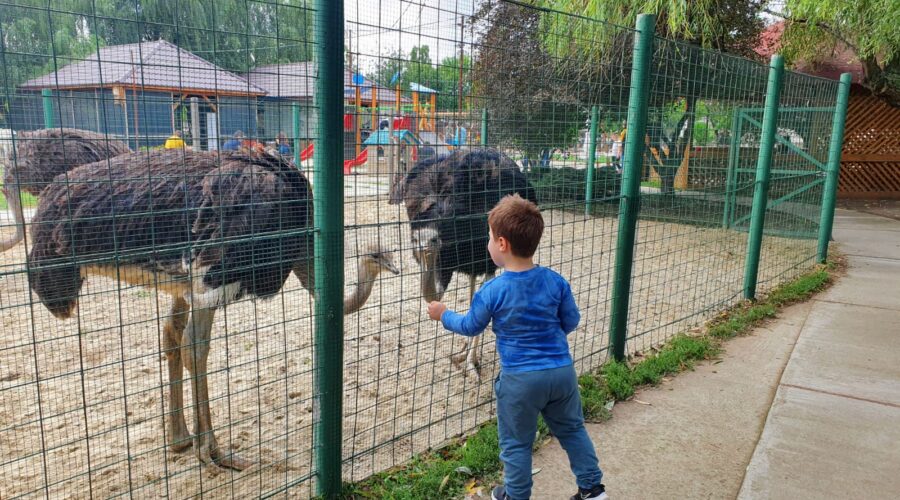 Nepoți și nu numai